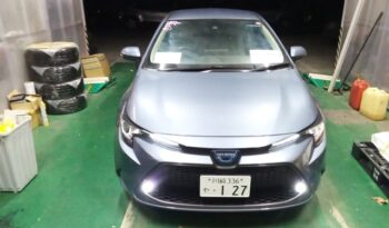
									TOYOTA COROLLA full								