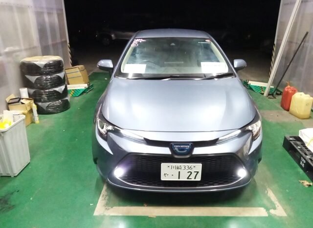 
								TOYOTA COROLLA full									