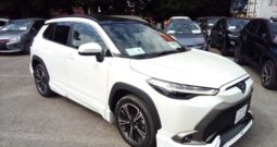 B95245 : ZVG15-1006103