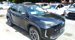 B95011 : MXPJ10-2044261