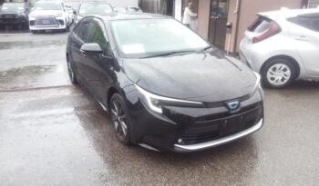 
									TOYOTA COROLLA HV WXB 2023 full								