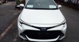 C10703 : ZWE219-4006762