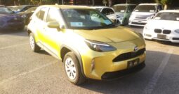 C12505 : MXPJ10-2051198