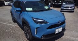 C12482 : MXPJ10-3116334