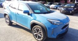 C12435 : MXPJ10-3046604