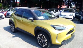 C12535 : MXPJ10-3084526