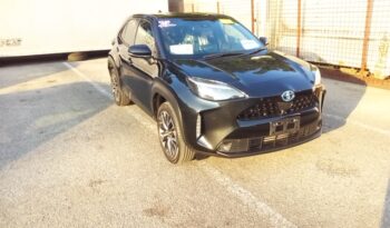 C12546 : MXPJ10-3079714