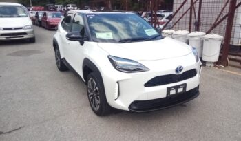 C12547 : MXPJ10-3076905