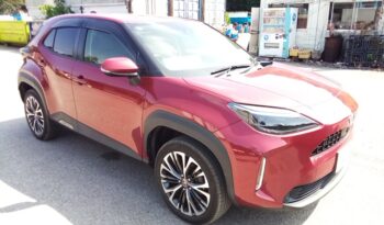 C12563 : MXPJ10-3040576