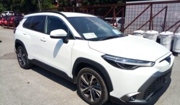 C12570 : ZVG15-1019385