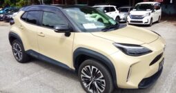 C12875 : MXPJ10-2039970