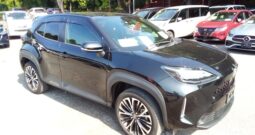 C12462 : MXPJ10-3062621