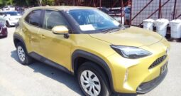 C12504 : MXPJ10-2049514