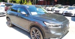 C12479 : RV5-1097986