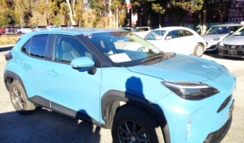 C14699 : MXPJ10-3103273