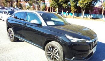 C14700 : RV5-1213917