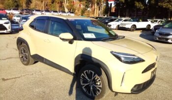 C14651 : MXPJ10-3074379