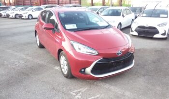 C14986 : MXPK11-2124330