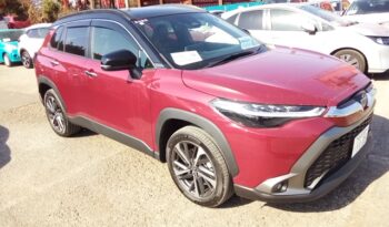 C15438 : ZVG13-1016438