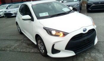 C15592 : MXPH10-2109742