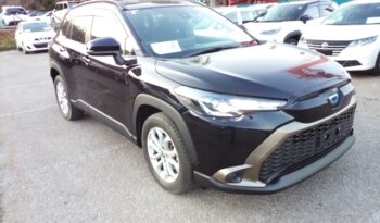 C15566 : ZVG11-1074363